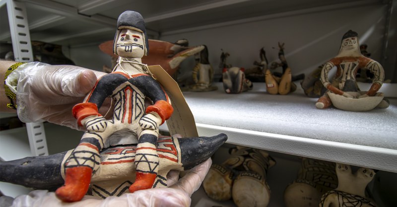 Mestrado em Diversidade do Museu Goeldi: vagas e cotas até 1º de setembro Mestrado em Diversidade do Museu Goeldi: vagas e cotas até 1º de setembro