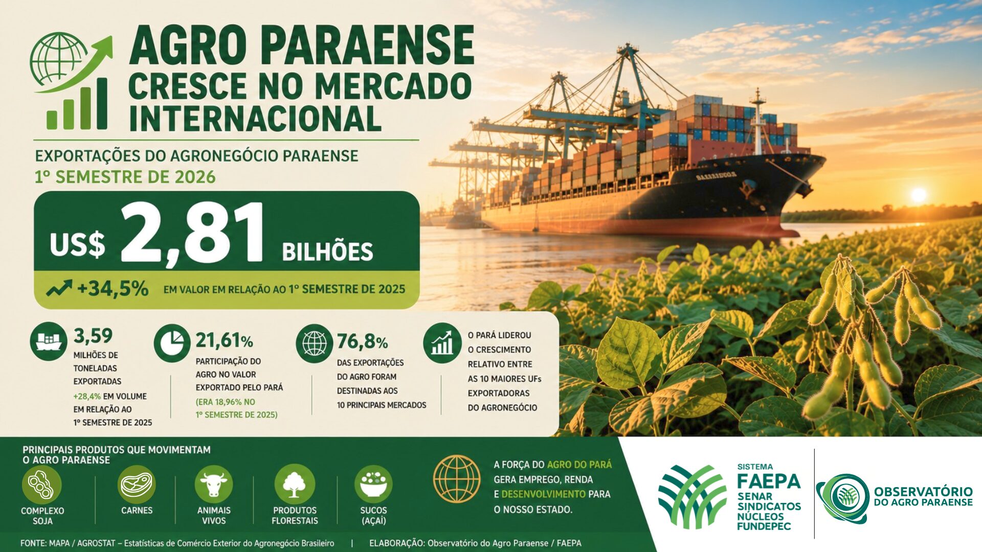 Pará avança em cacau sustentável com parceria suíça para sistemas agroflorestais