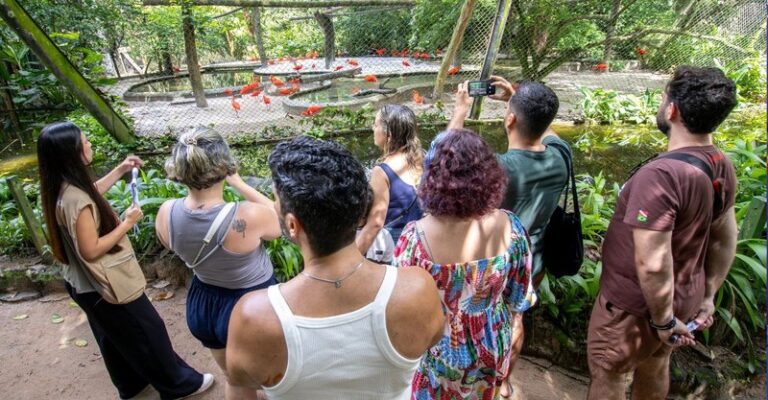 Parque Zoobotânico celebra 131 anos com trilhas em Belém