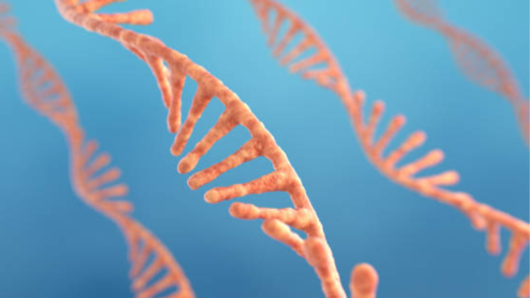 Obeliscos são achados em bactérias do corpo humano e podem revelar uma nova camada do microbioma