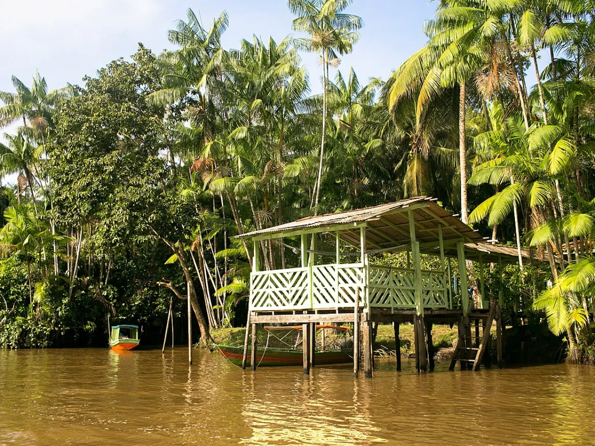 Ilha do Combu vira rota turística oficial a 15 minutos de Belém Ilha do Combu vira rota turística oficial a 15 minutos de Belém