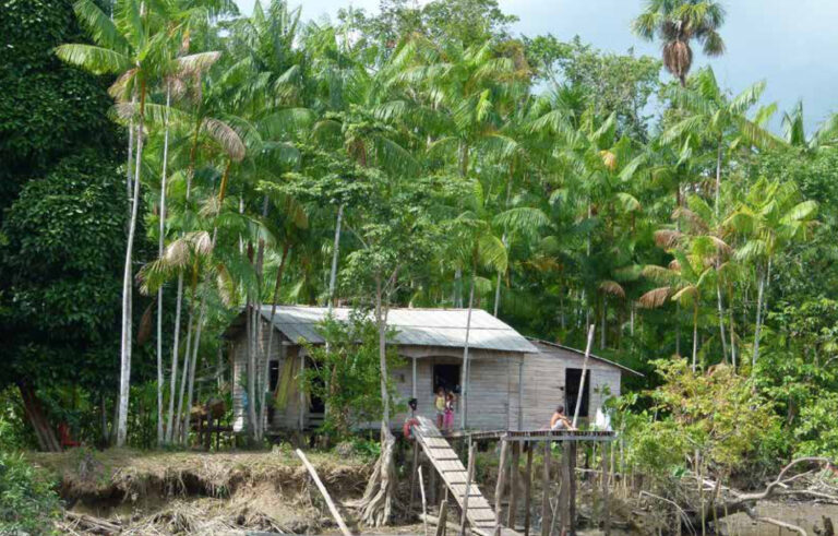 Casa ribeirinha na Reserva de Desenvolvimento Sustentável Itatupã-Baquiá, em Gurupá, no Marajó