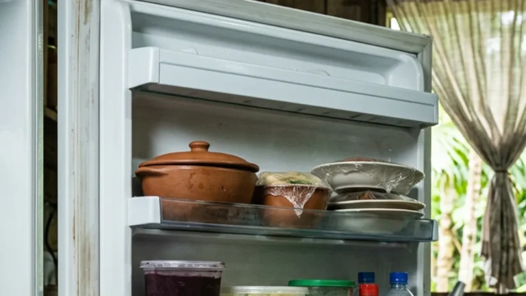 Geladeira com cheiro na comida passa para os alimentos e como tirar
