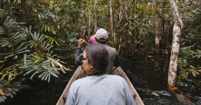Projeto com 70 pesquisadores e 20 instituições leva estudos de três territórios amazônicos a Londres e Oxford