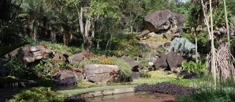 Em Belém, expedição de 52 dias revela o Burle Marx botânico em mostra com mais de 200 imagens