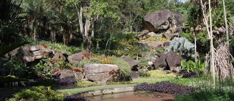 Em Belém, expedição de 52 dias revela o Burle Marx botânico em mostra com mais de 200 imagens Em Belém, expedição de 52 dias revela o Burle Marx botânico em mostra com mais de 200 imagens