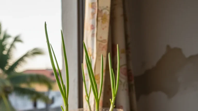 Como plantar cebolinha em garrafa PET na janela do apartamento
