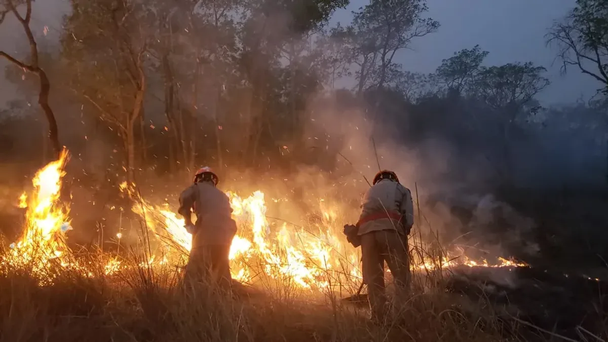 Após 16.980 hectares queimados, produtores de Soure farão curso para reagir ao fogo no Marajó Após 16.980 hectares queimados, produtores de Soure farão curso para reagir ao fogo no Marajó