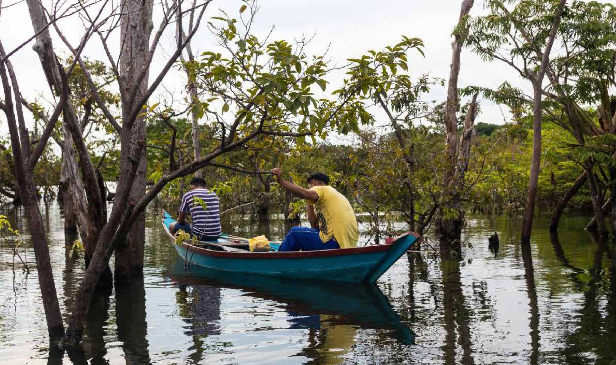 Dezessete anos de campo no Pará sustentam estudo publicado na Science Dezessete anos de campo no Pará sustentam estudo publicado na Science