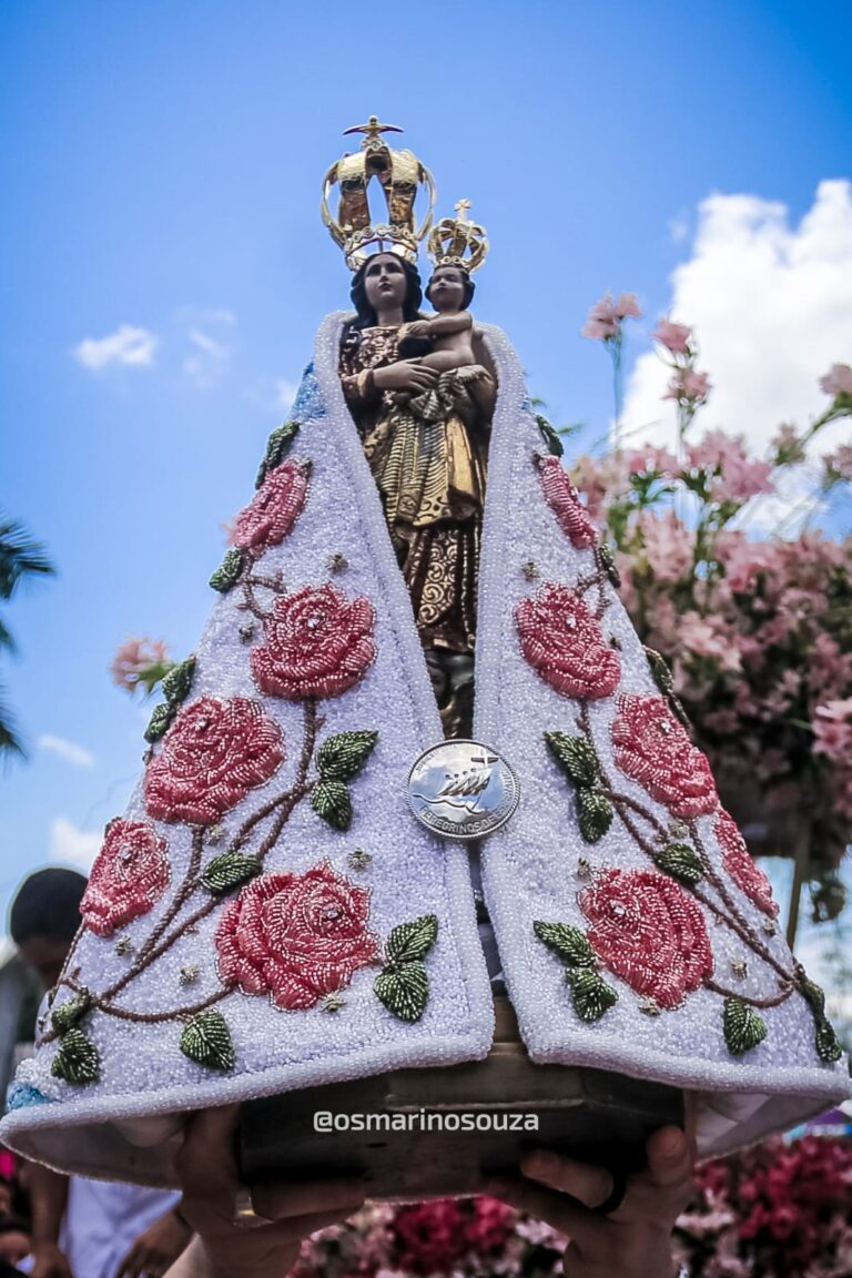 Manto branco bordado com rosas cor-de-rosa erguido contra o céu azul