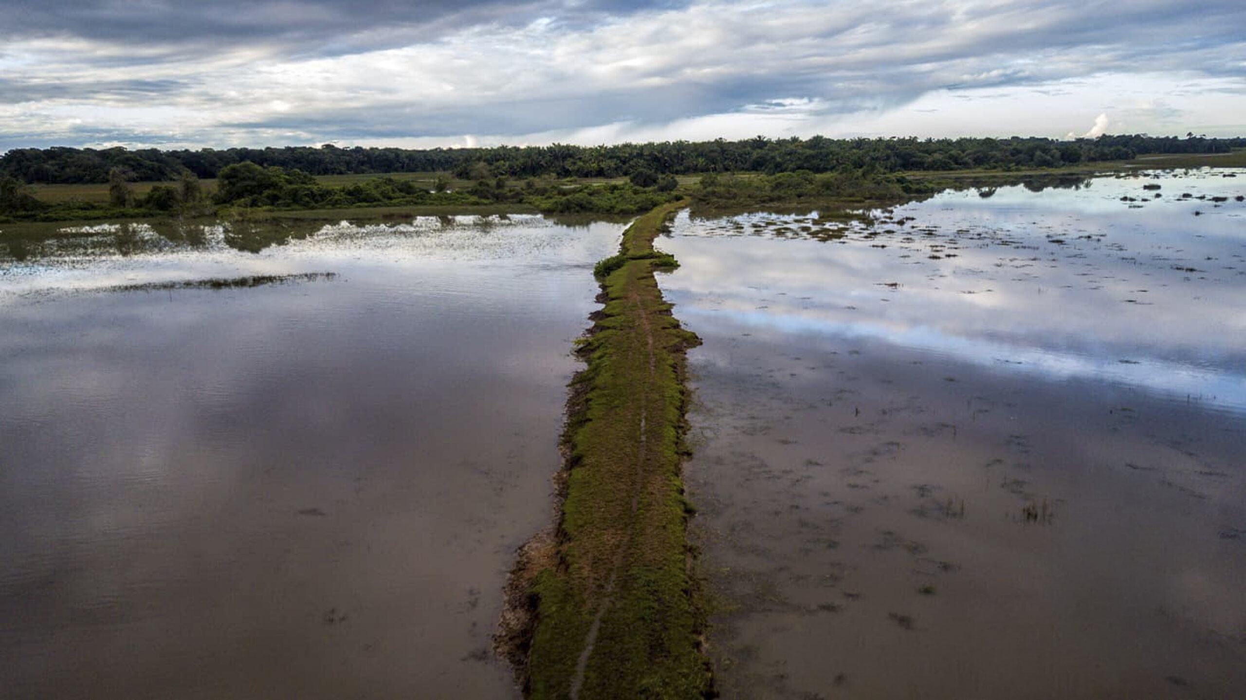 Entre espelhos d’água e revoadas de guarás: os campos naturais de Tracuateua revelam uma Amazônia que poucos conhecem Entre espelhos d’água e revoadas de guarás: os campos naturais de Tracuateua revelam uma Amazônia que poucos conhecem