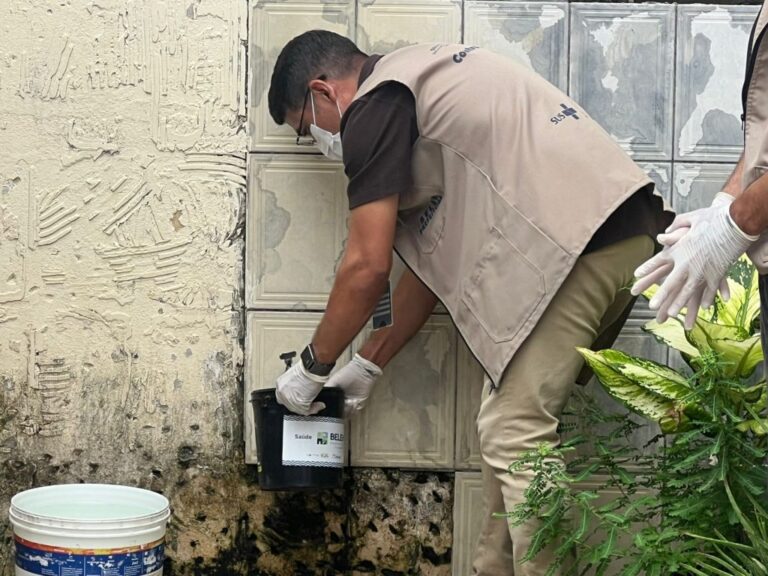 Calor e El Niño reforçam alerta para prevenção da dengue em Belém