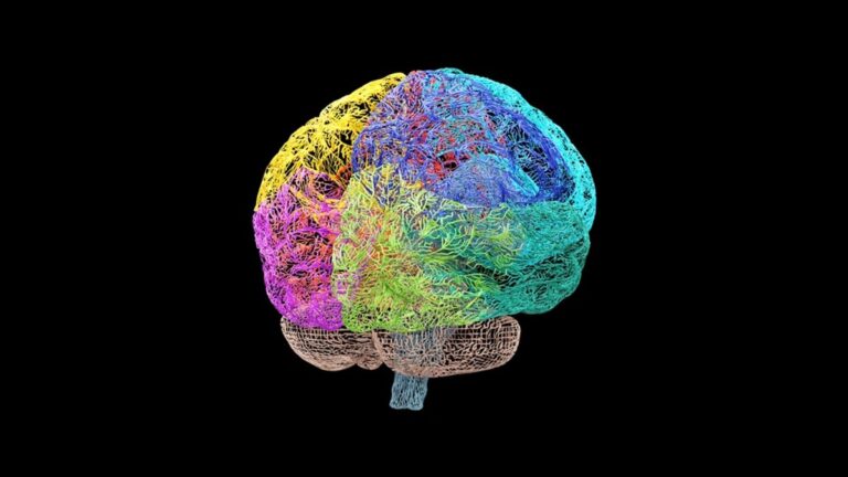 Mapa de 6 milhões de células do cérebro revela conexões entre Alzheimer, Parkinson e envelhecimento