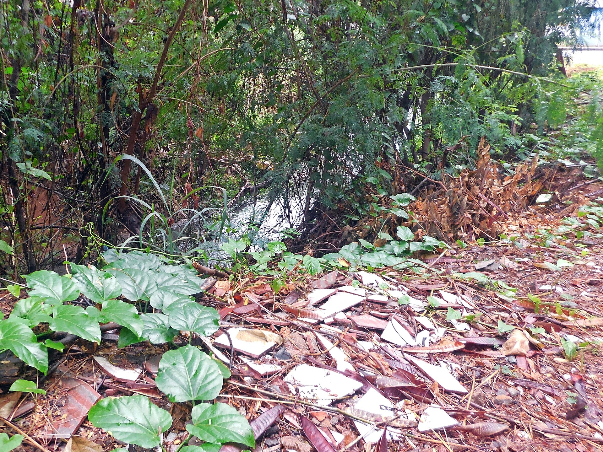 Entulho do vizinho no quintal: o que diz o Código Civil Entulho do vizinho no quintal: o que diz o Código Civil