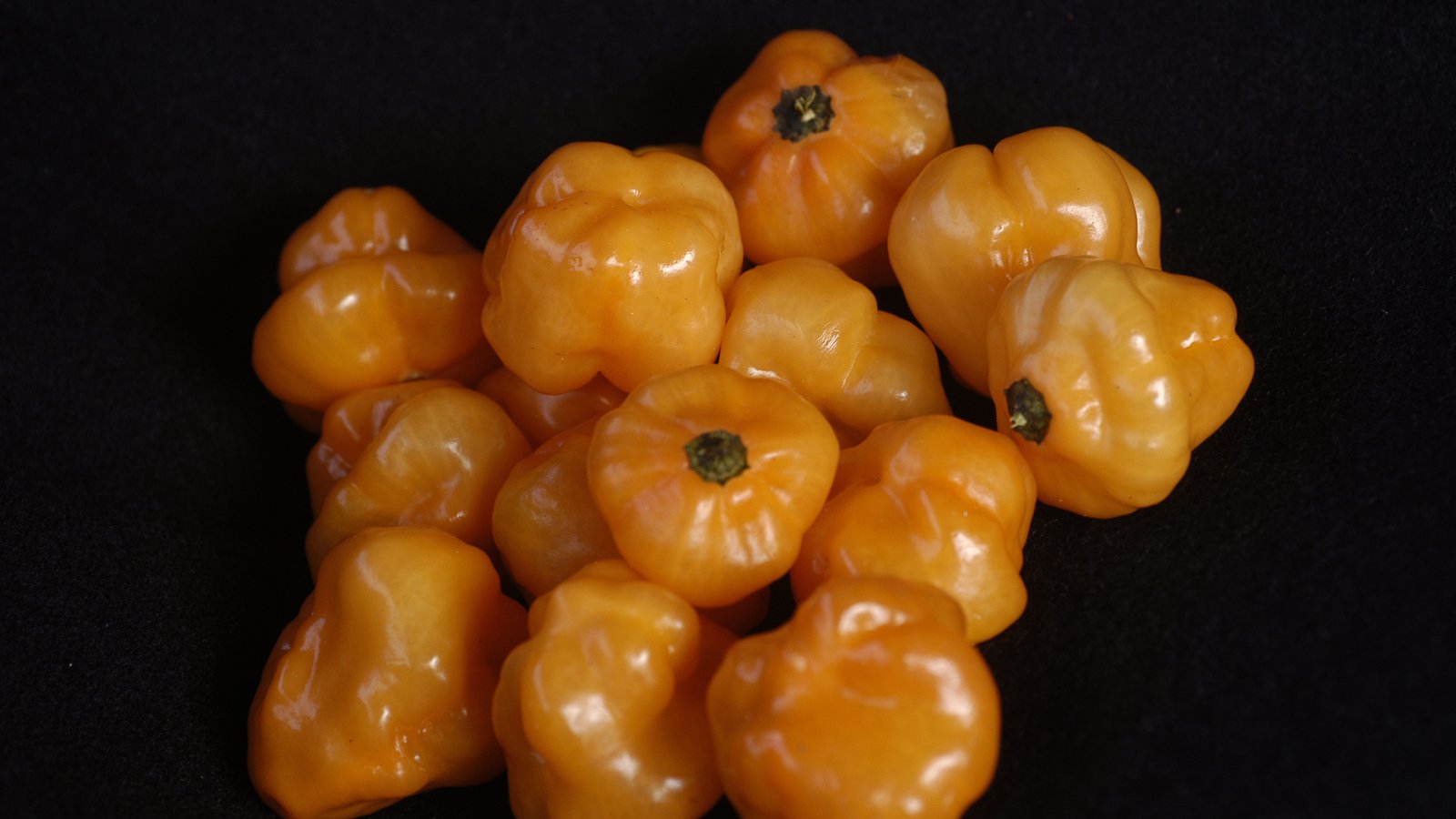 Pimenta-de-cheiro: como conservar dentro ou fora da geladeira e congelar sem perder o aroma Pimenta-de-cheiro: como conservar dentro ou fora da geladeira e congelar sem perder o aroma