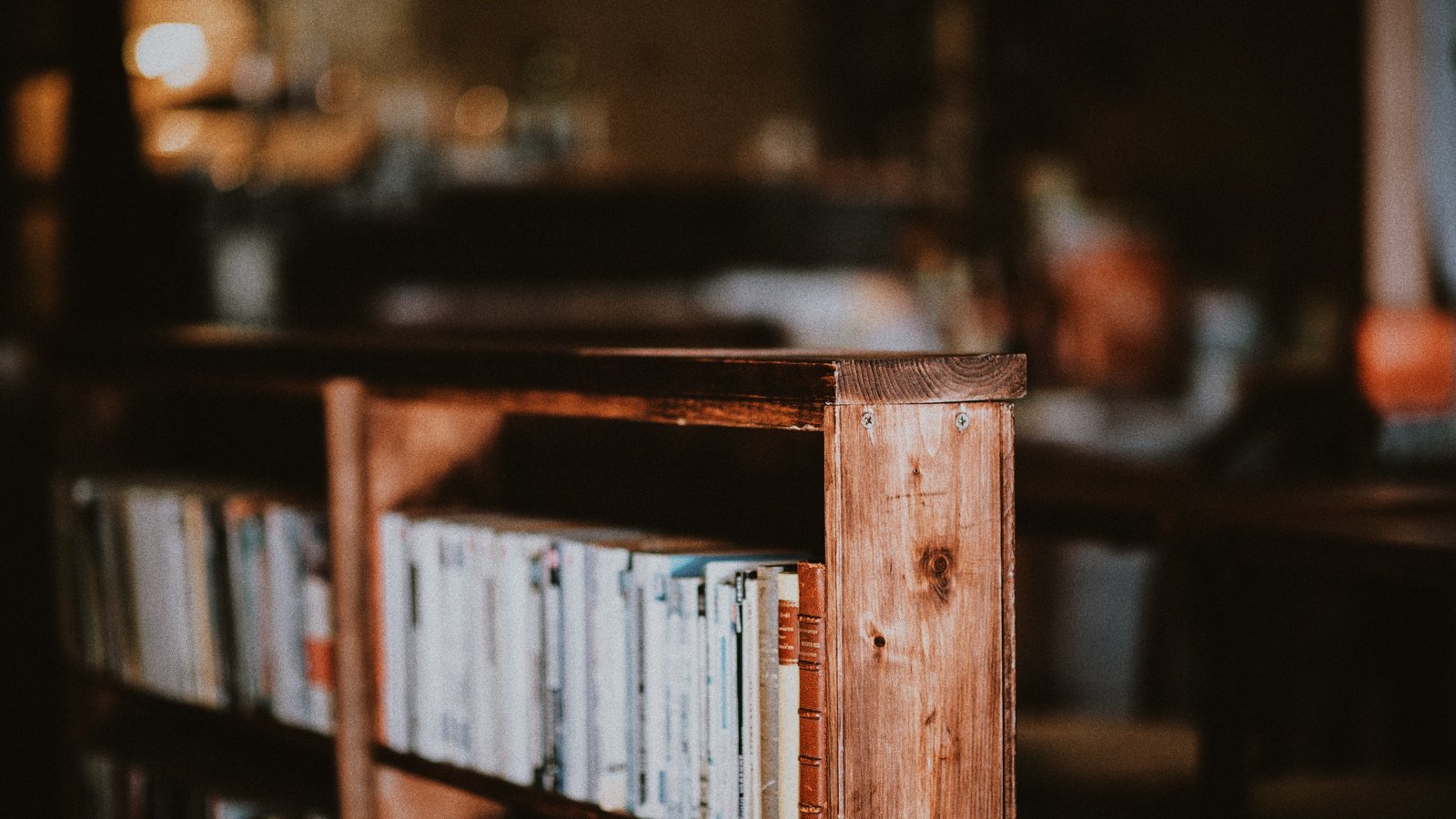 Livro empenado ou molhado: como desempenar as páginas em casa e evitar mofo no clima úmido Livro empenado ou molhado: como desempenar as páginas em casa e evitar mofo no clima úmido