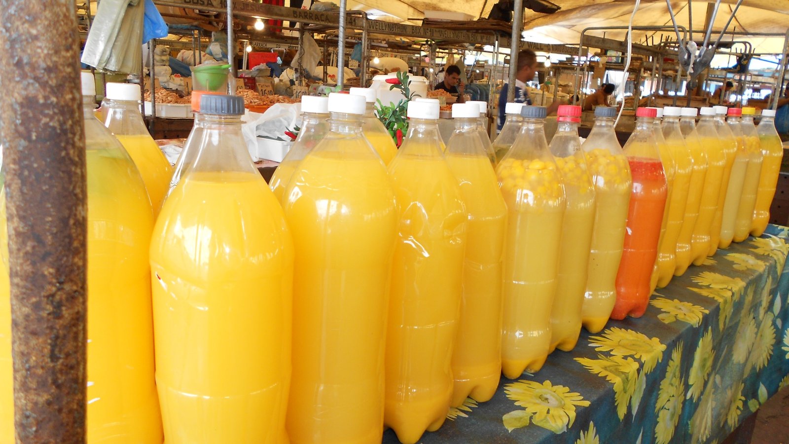 Tucupi muito azedo? Como tirar a acidez sem estragar o sabor e por que o tucupi cru precisa ferver Tucupi muito azedo? Como tirar a acidez sem estragar o sabor e por que o tucupi cru precisa ferver