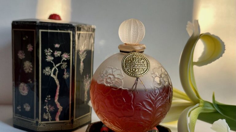 Qual perfume dura mais na pele? A diferença entre parfum, eau de parfum e eau de toilette e dicas para fixar no calor